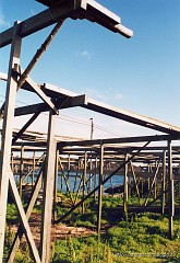 65.jpg  65